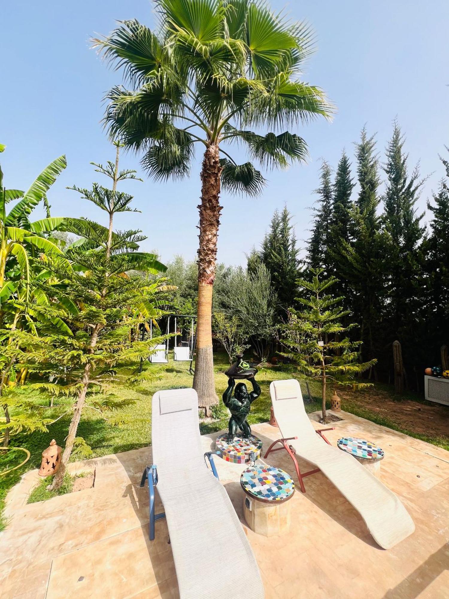 Ilafe Farmhouse, Villa Avec Piscine Chauffee Privee Et Jacuzzi Pour Familles Marrakesch Exterior foto